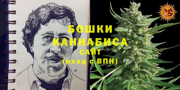 молекула духа Киреевск