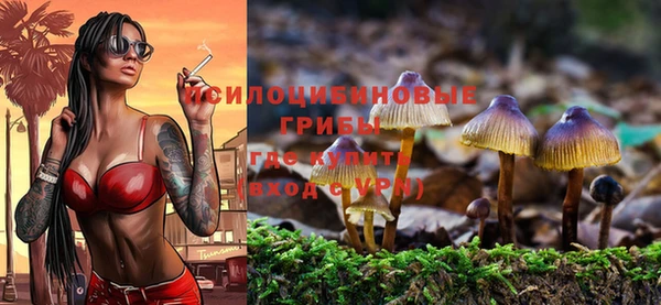 ECSTASY Козельск