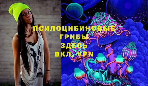 молекула духа Киреевск