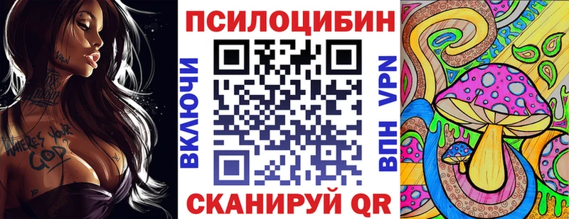Купить  Куса  Галлюциногенные грибы прущие грибы 